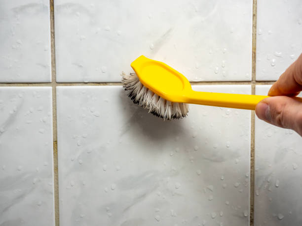 Best Mold Testing  in Greenville, RI