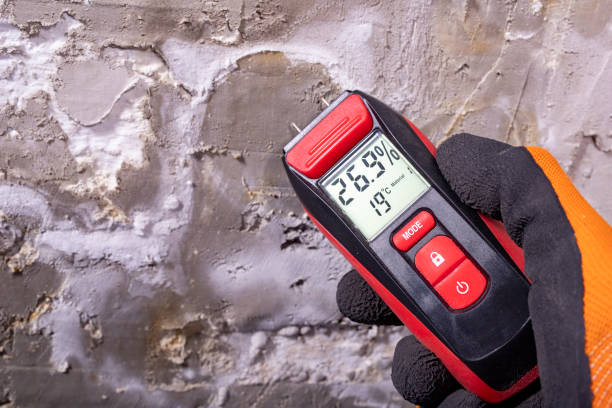 Best Professional Mold Removal  in Greenville, RI