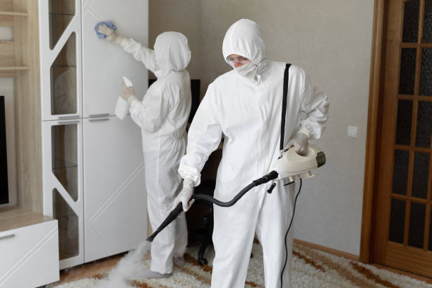 Best Mold Remediation  in Greenville, RI