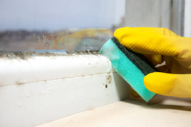 Best Mold Testing  in Greenville, RI